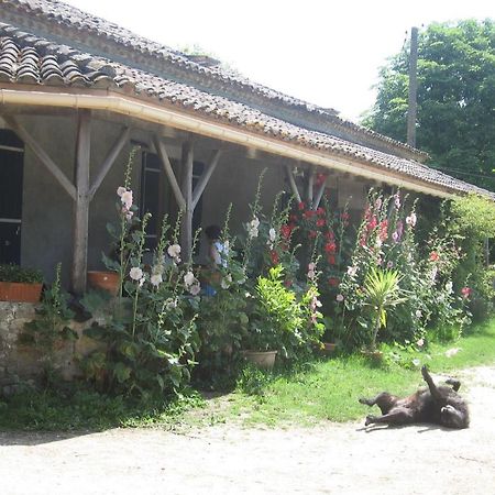 Chambres D'Hotes Le Chintre Queyssel Bagian luar foto