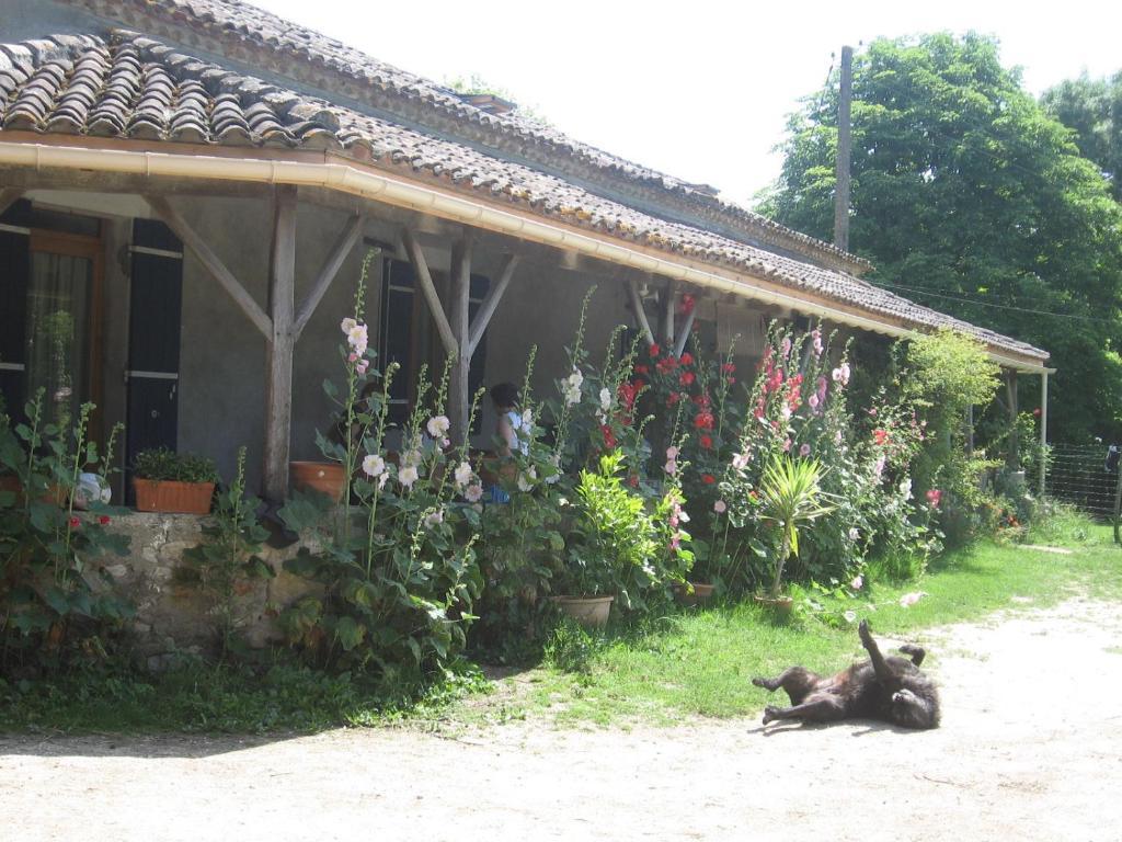 Chambres D'Hotes Le Chintre Queyssel Bagian luar foto